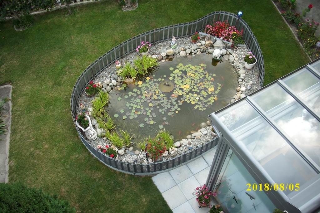 Teich vor dem Haus Teich vor dem Haus