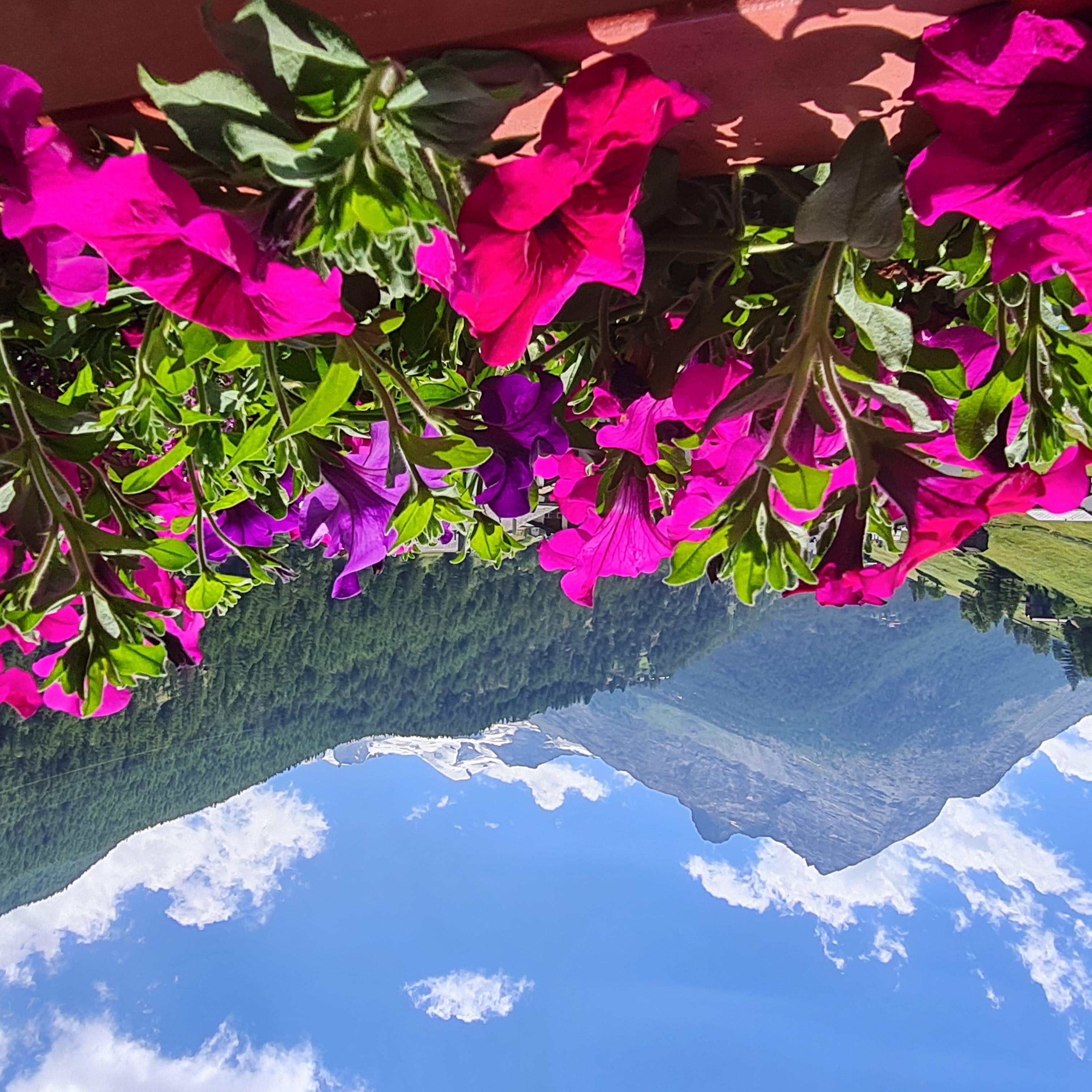 Aussicht vom Balkon Aussicht vom Balkon