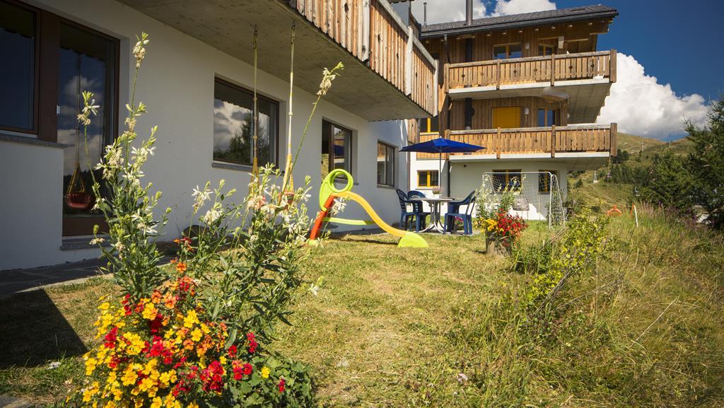 Garten Sommer Garten Sommer