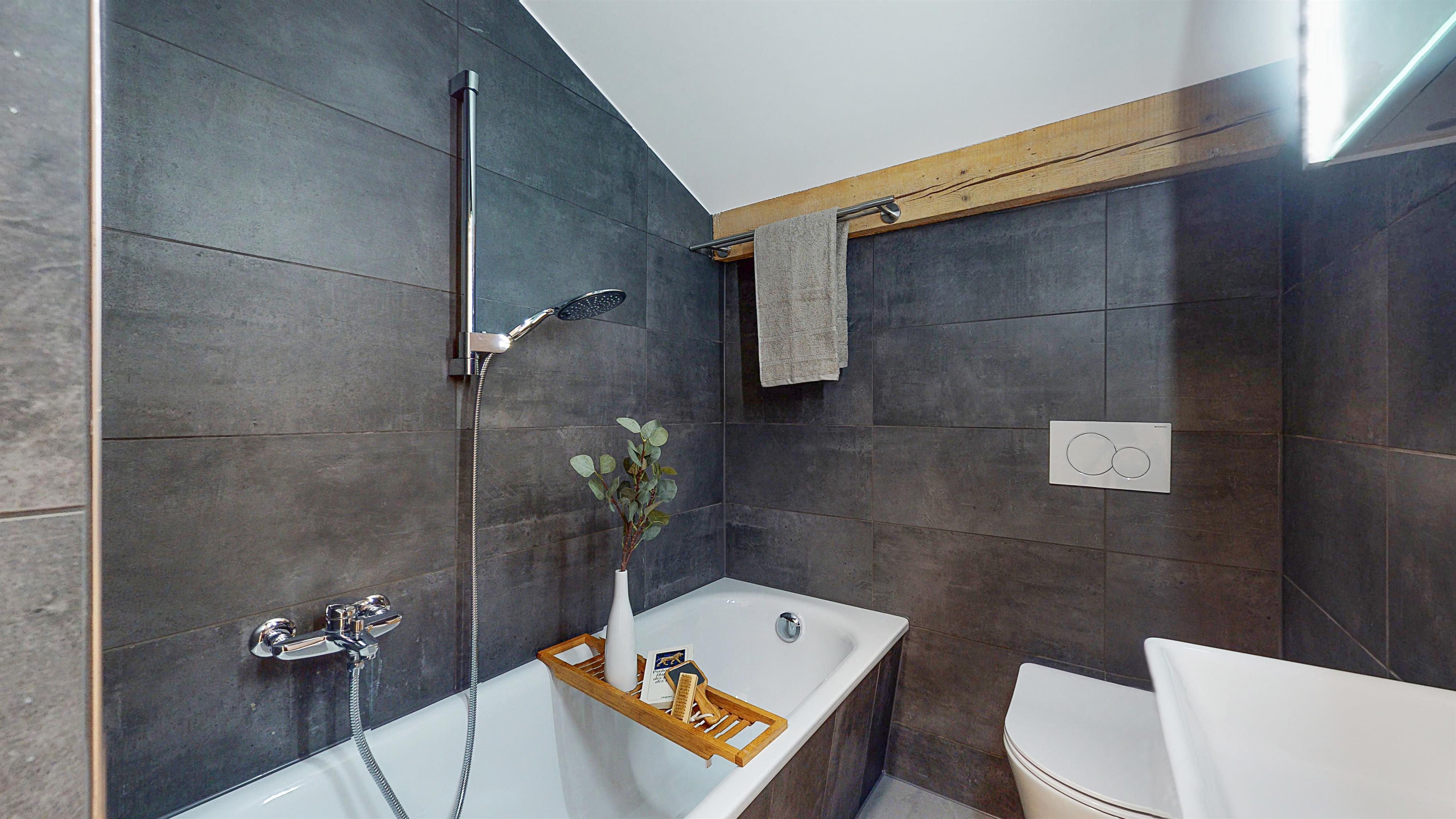 Ideal 10_Ambiente_bad-WC Ideal 10_Ambiente_bad-WC