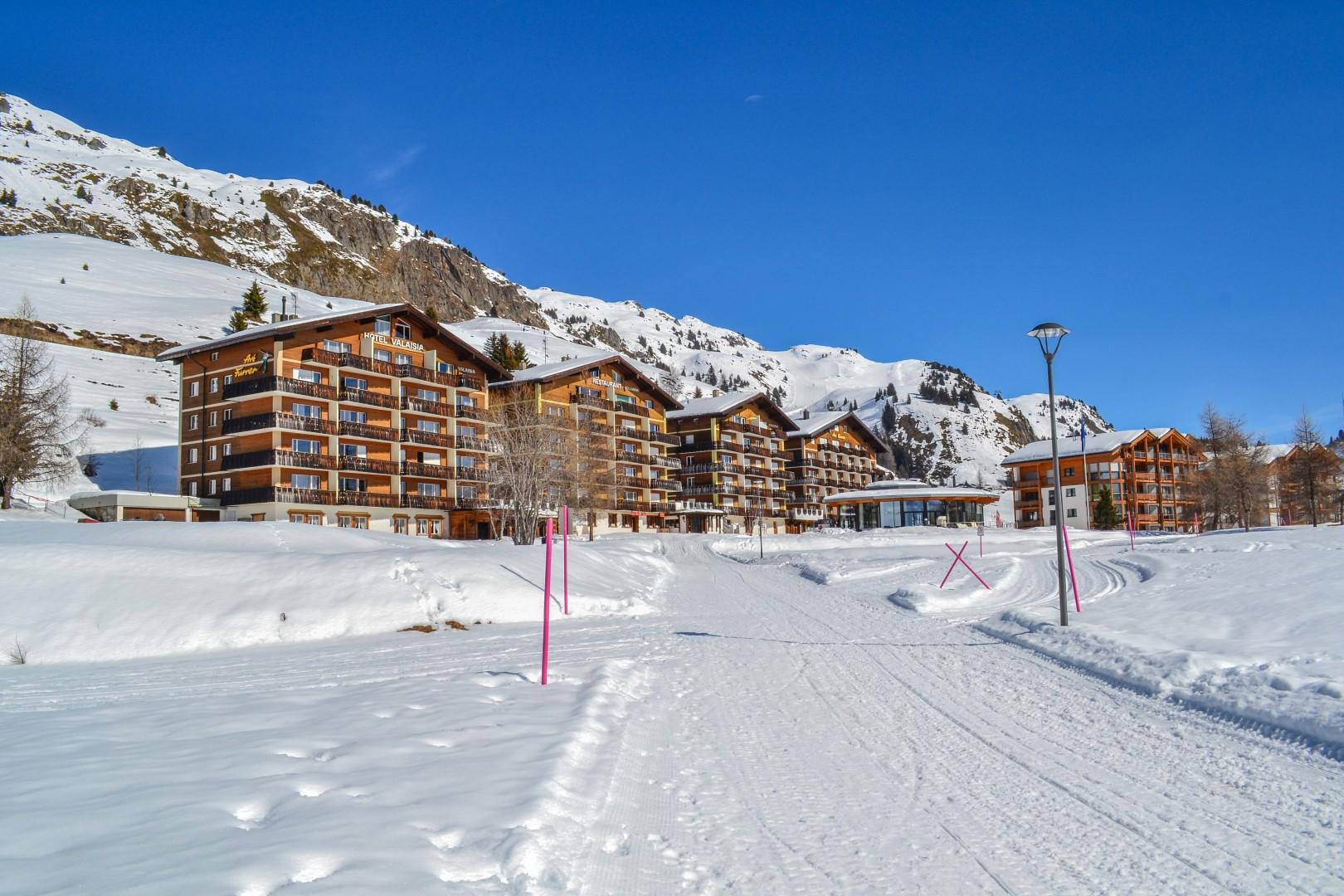 Hollandia 15 LP (7) Hollandia 15 LP (7)