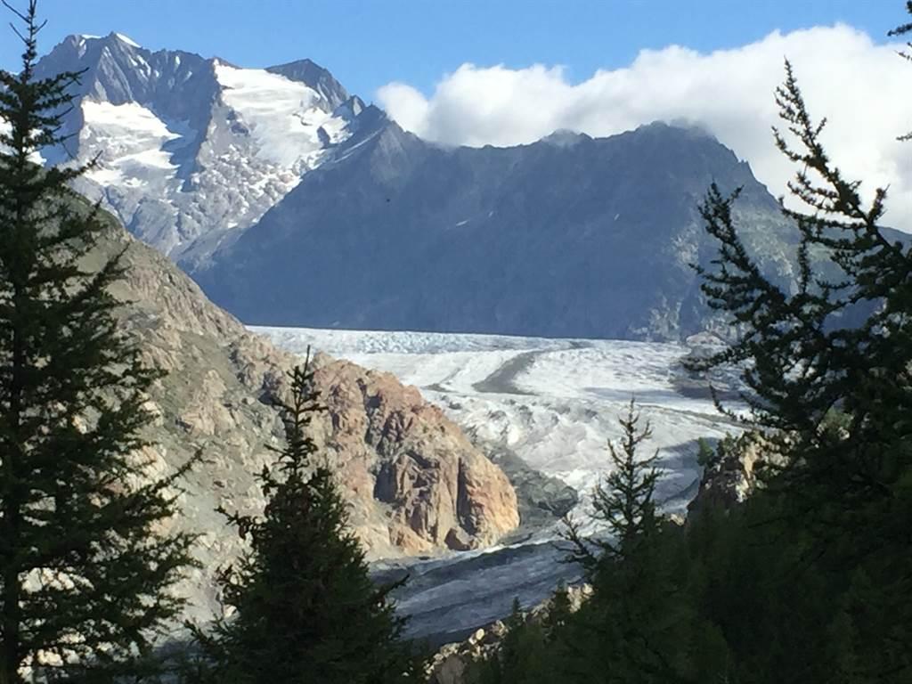 Wanderung im Aletschwald Wanderung im Aletschwald