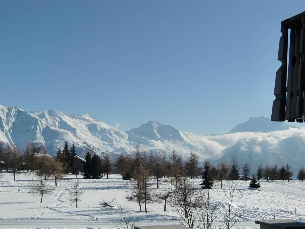 Golfplatz im Winter Golfplatz im Winter
