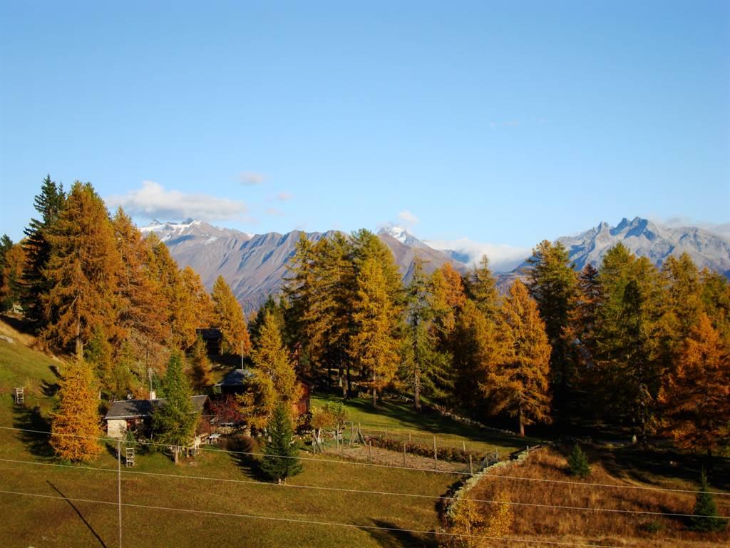 Herbstliches Farbenfest Herbstliches Farbenfest