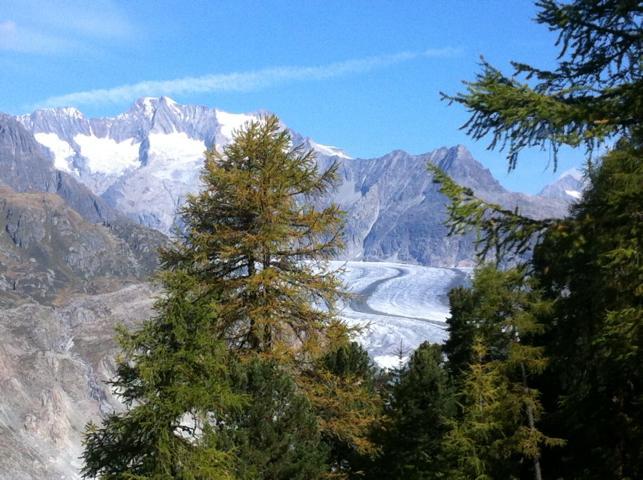 Aussicht Sommer Aussicht Sommer