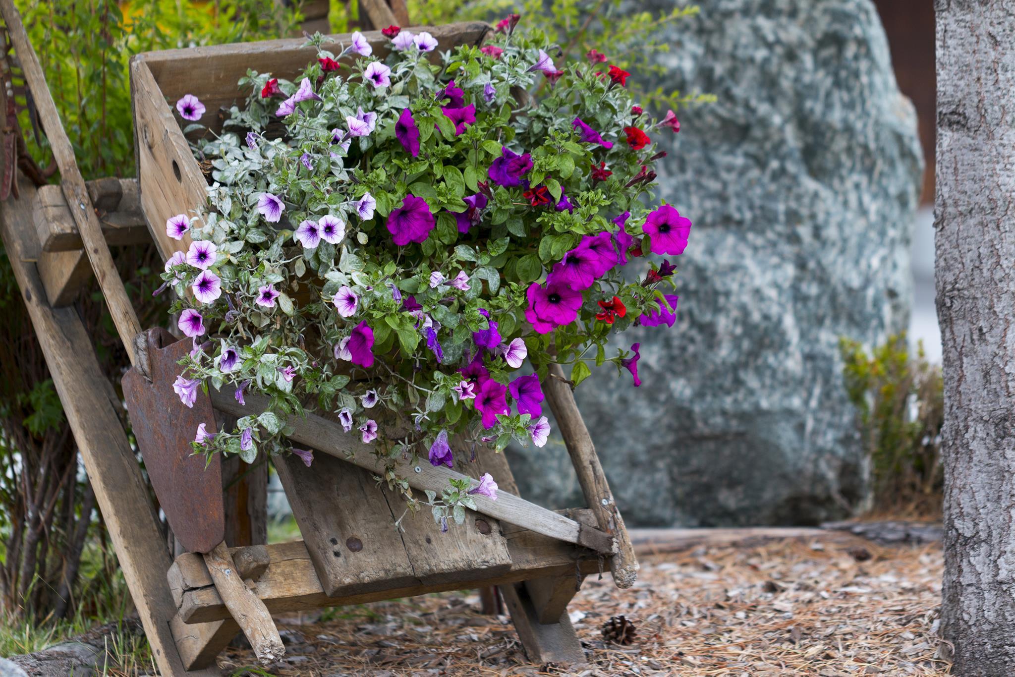 haus_am_biel_saas_fee_sommer11 haus_am_biel_saas_fee_sommer11