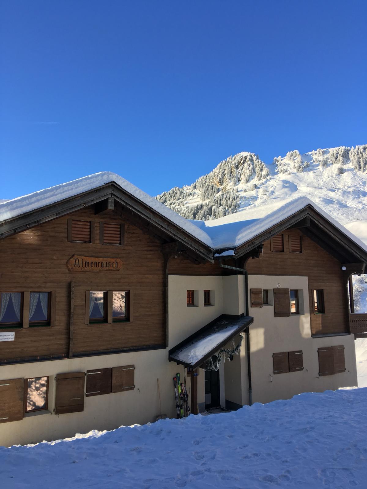 Almenrausch im Winter Almenrausch im Winter