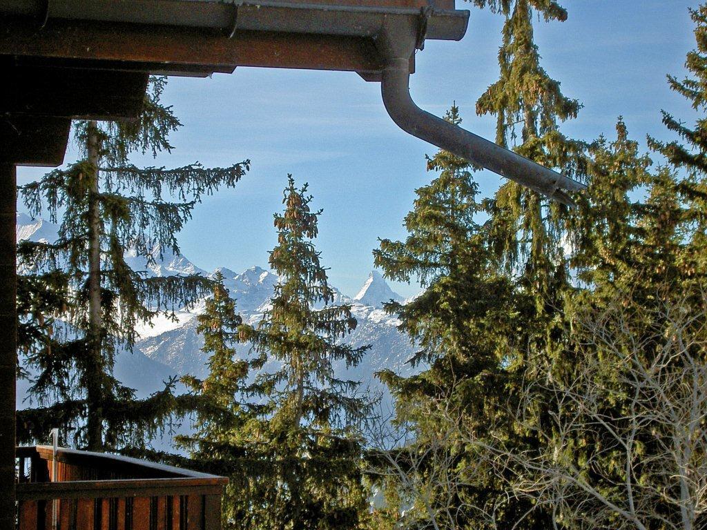 Aussicht Sommer Aussicht Sommer