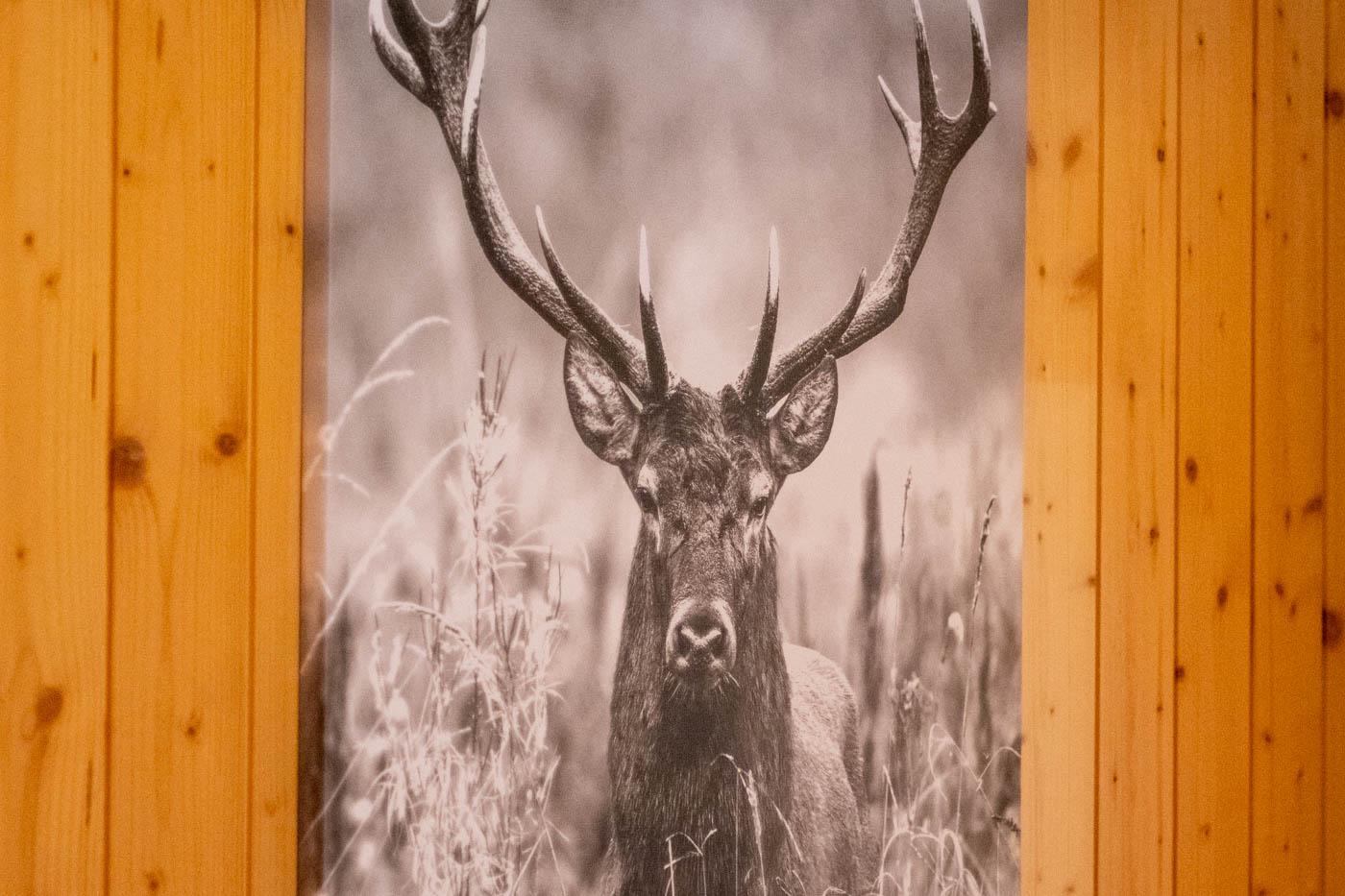 Z71_6233-2 Z71_6233-2