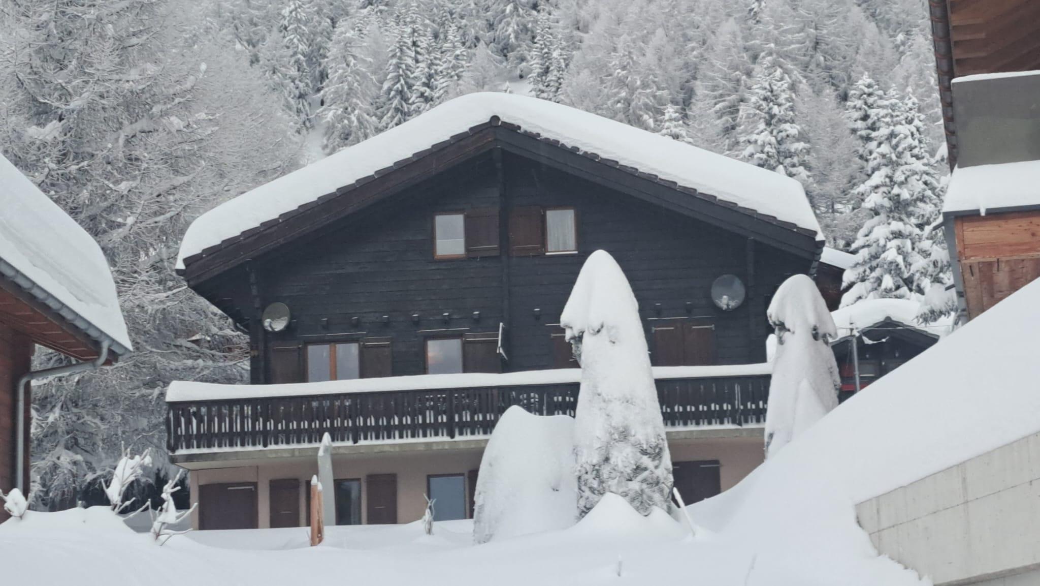 8eb36be5-2a31-4826-9e49-4f639d3e98e8 8eb36be5-2a31-4826-9e49-4f639d3e98e8