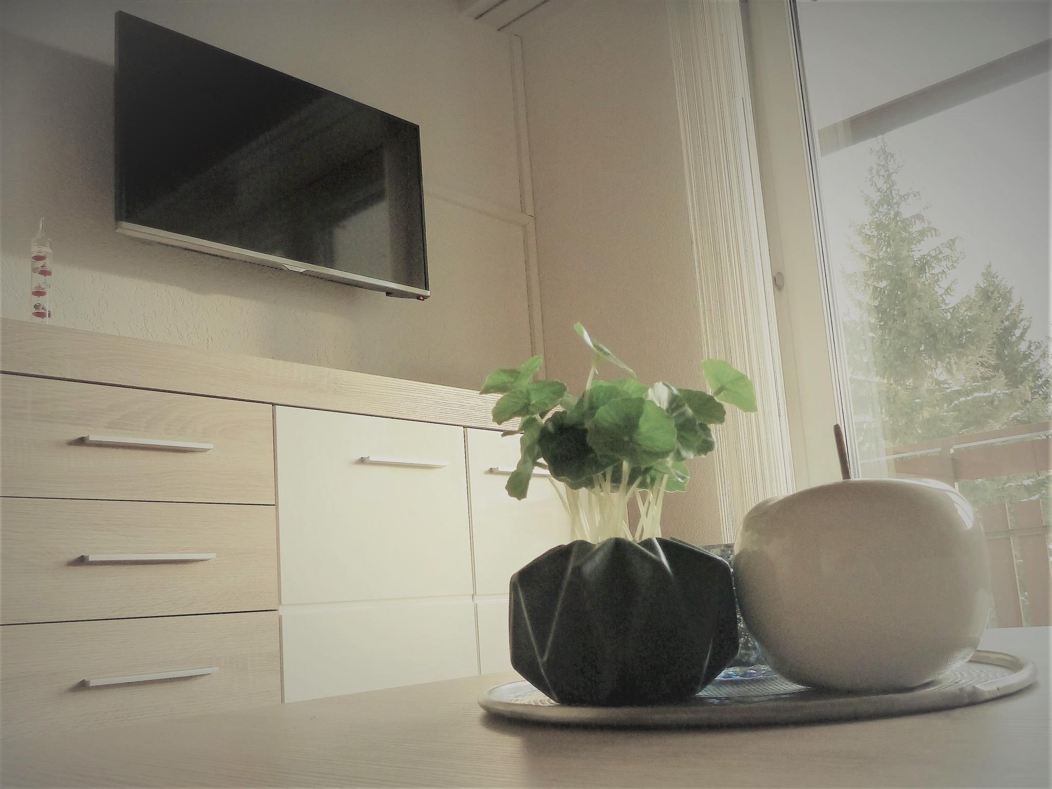 41 Goliath 13 41 Goliath 13