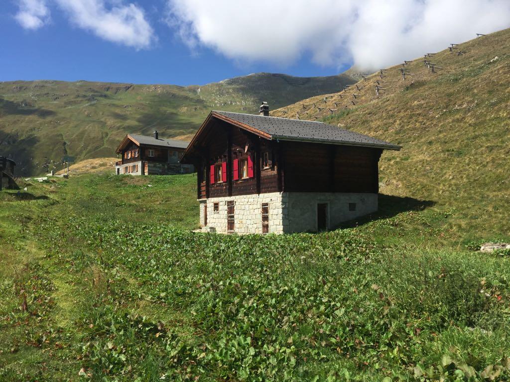 e5eec45f-dfaf-465c-92f7-975dd37edbc6 e5eec45f-dfaf-465c-92f7-975dd37edbc6