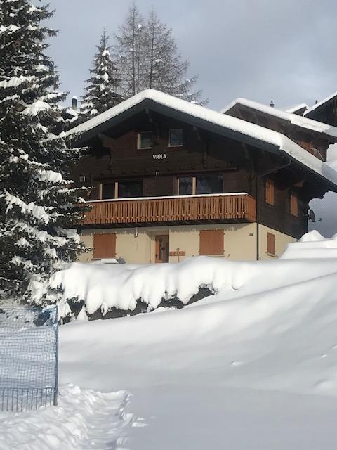 IMG_6678 (002) IMG_6678 (002)