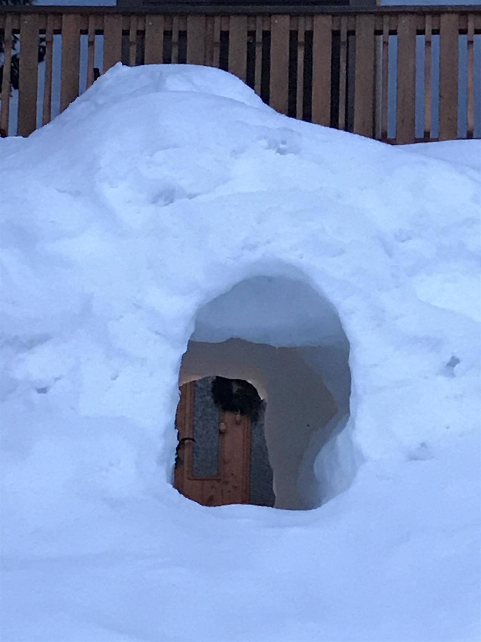 Eingang Winter 2017/18 Eingang Winter 2017/18