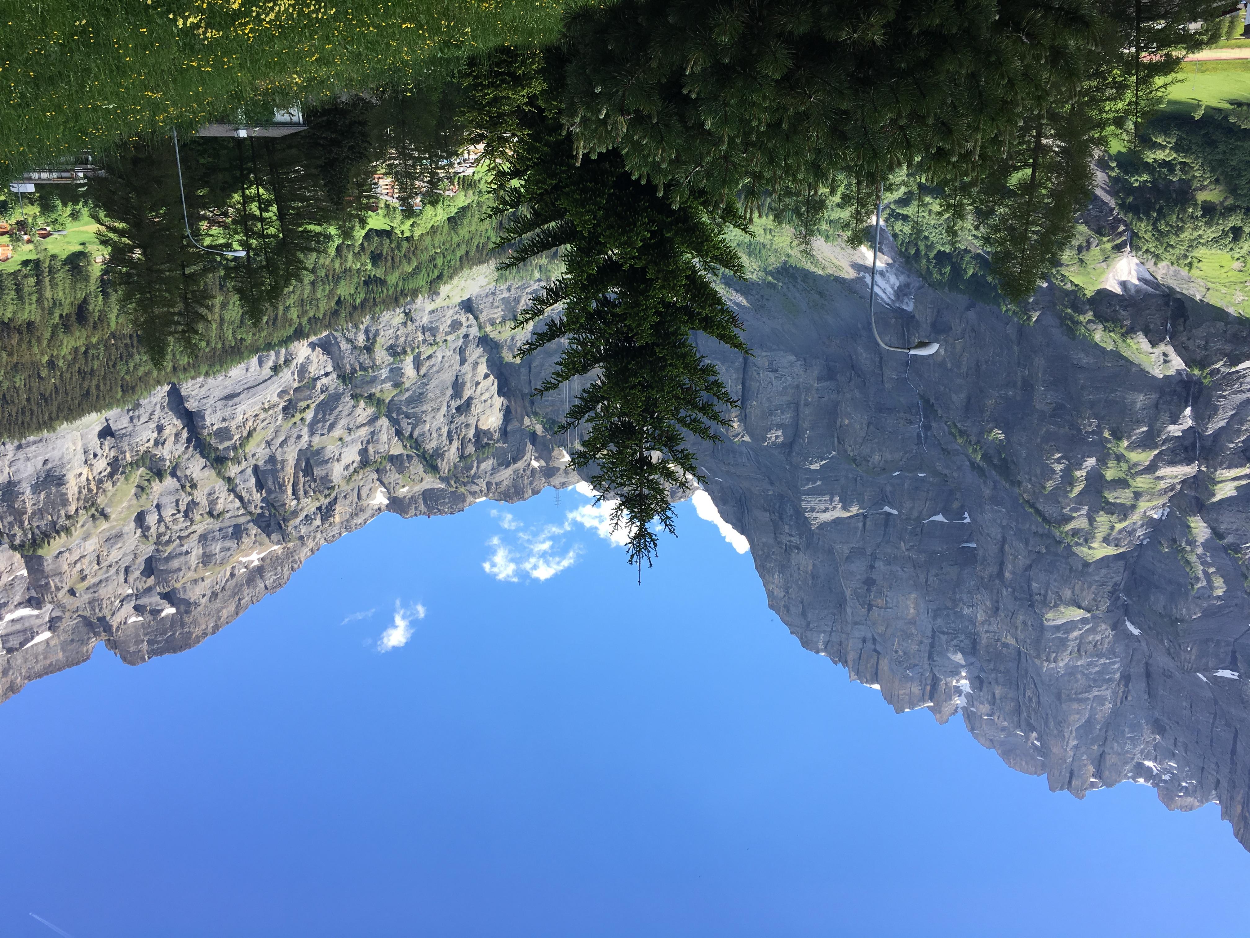 Lärchenwald 312_aussicht_sommer_b Lärchenwald 312_aussicht_sommer_b