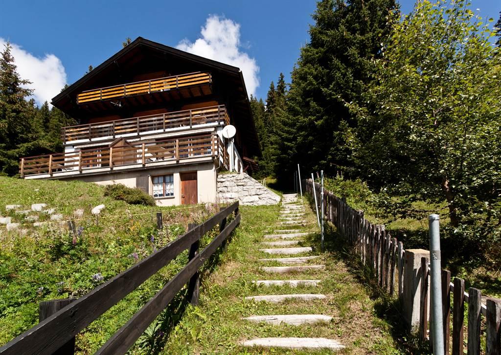 Zugang Chalet Zugang Chalet