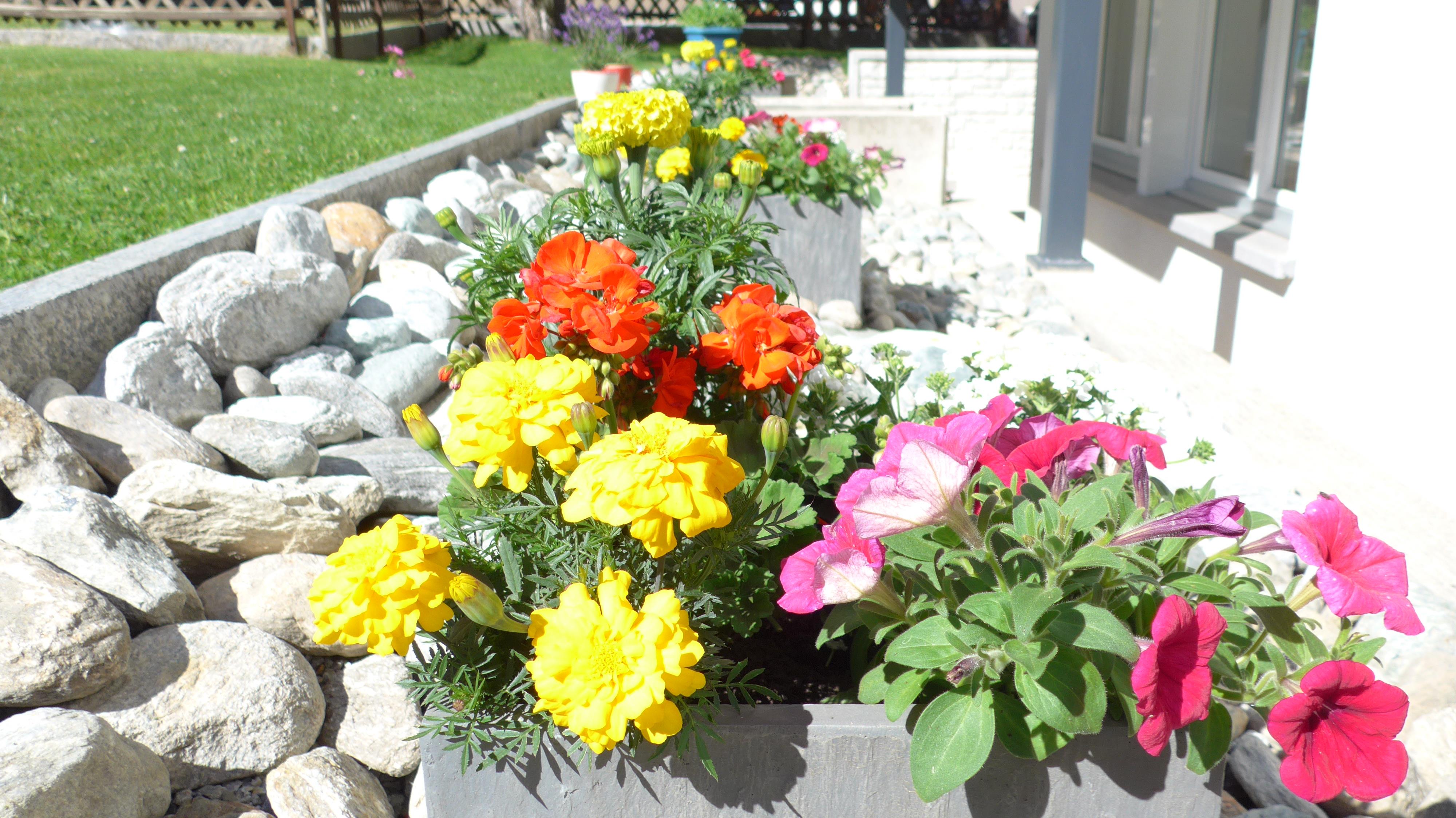 Blumendekoration Blumendekoration