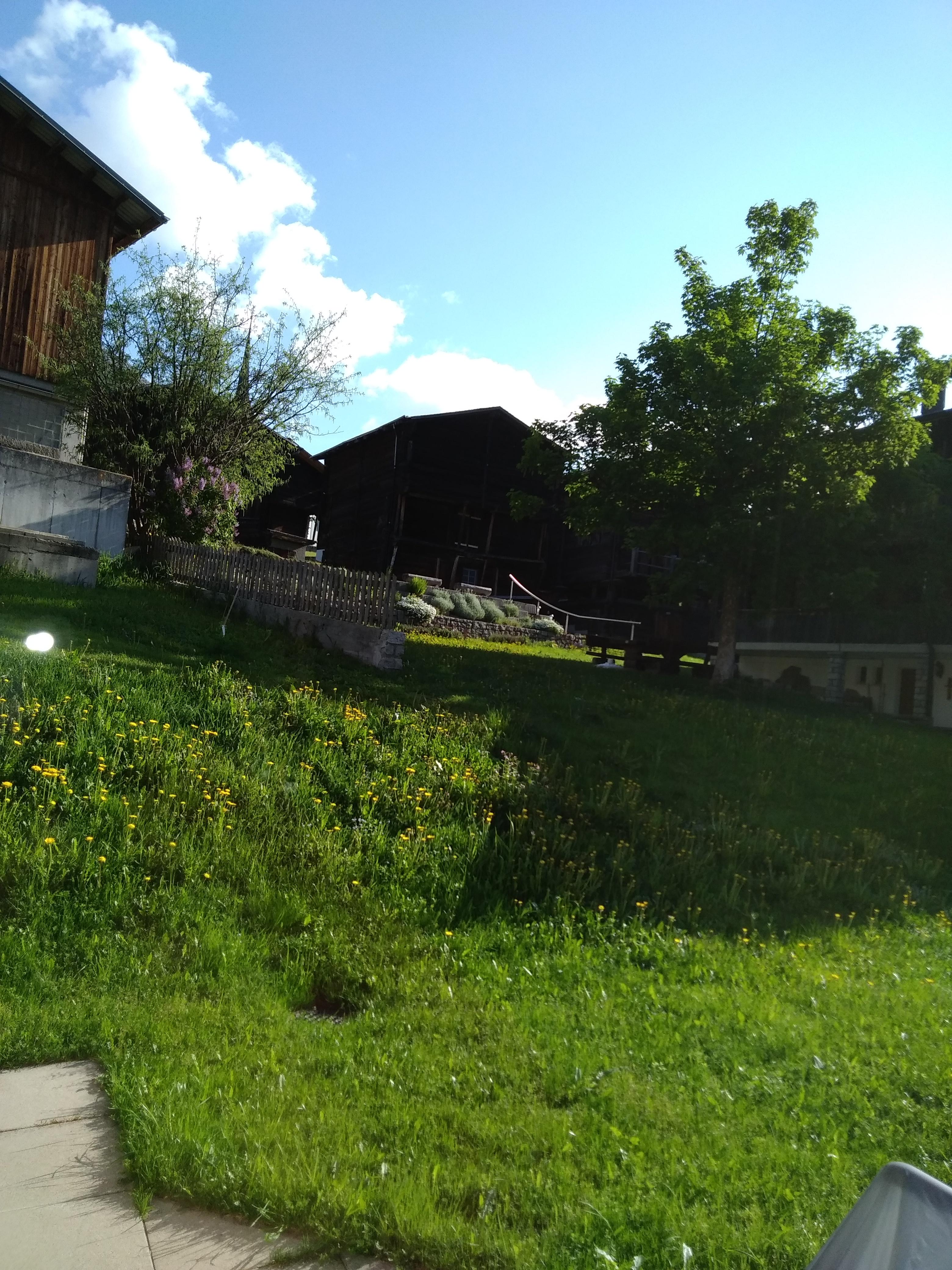 Sunneliecht Oxborrow – Bild