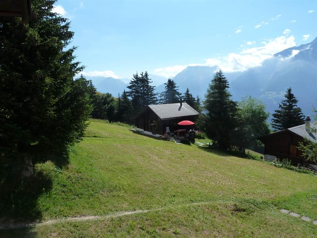 Aussicht Mikado Aussicht Mikado