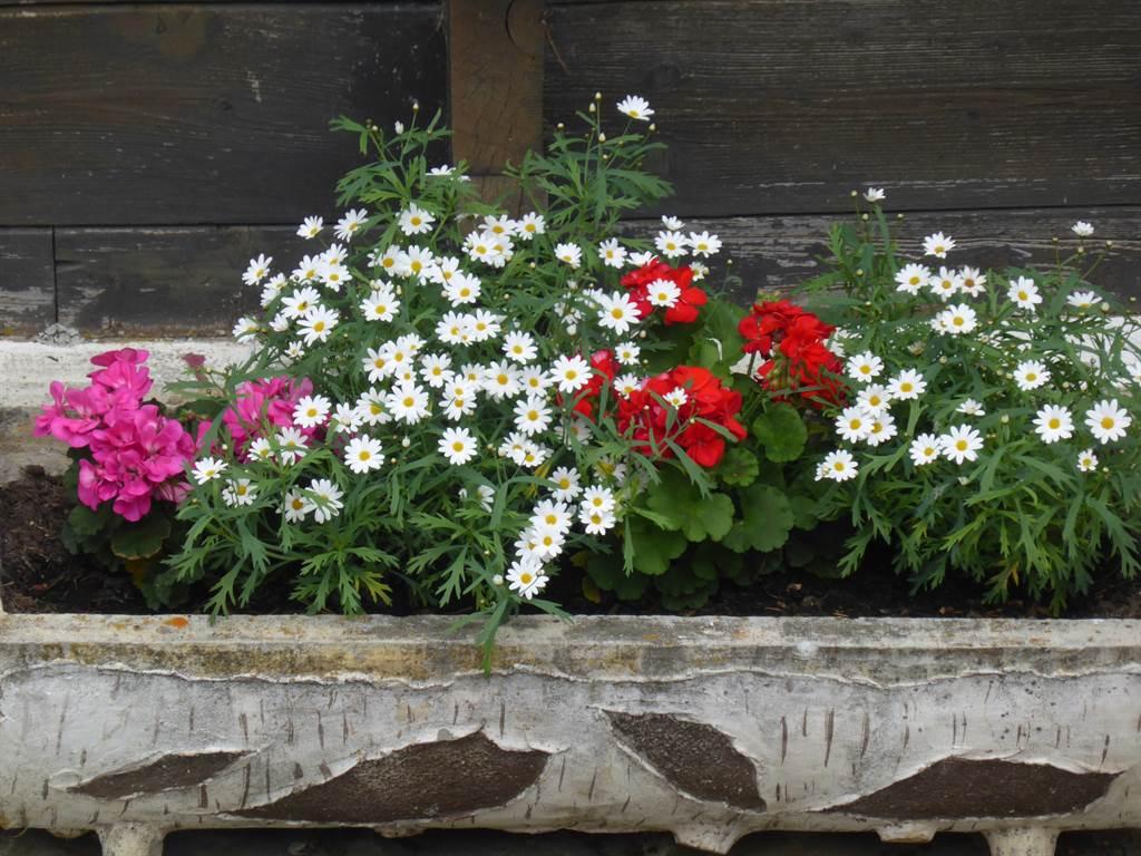 Aussenansicht Aussenansicht