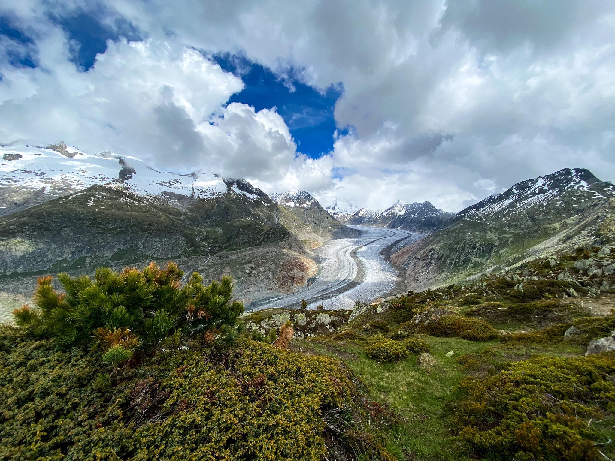 a76a6902-7914-4b97-8413-6b640429c329 a76a6902-7914-4b97-8413-6b640429c329