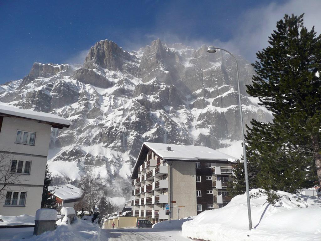 Goliath_winter_2 Goliath_winter_2