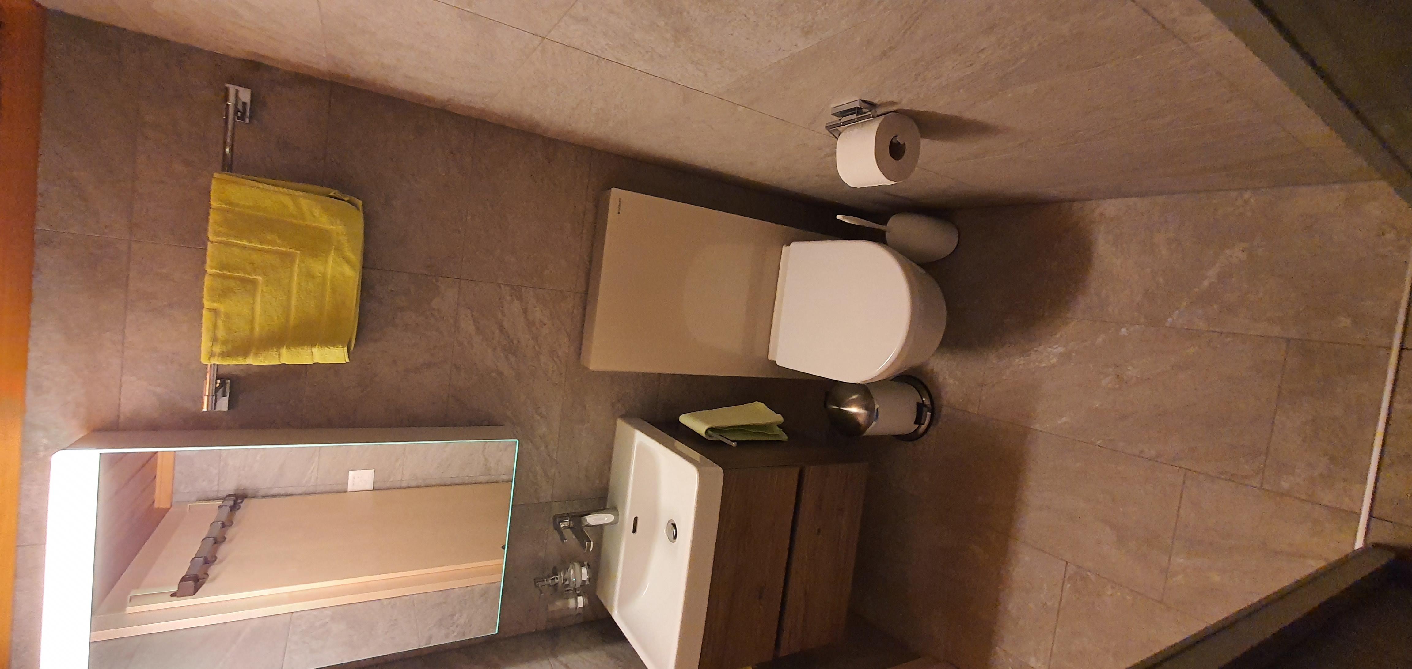 Wohnung 1. Stock Dusche, WC Wohnung 1. Stock Dusche, WC