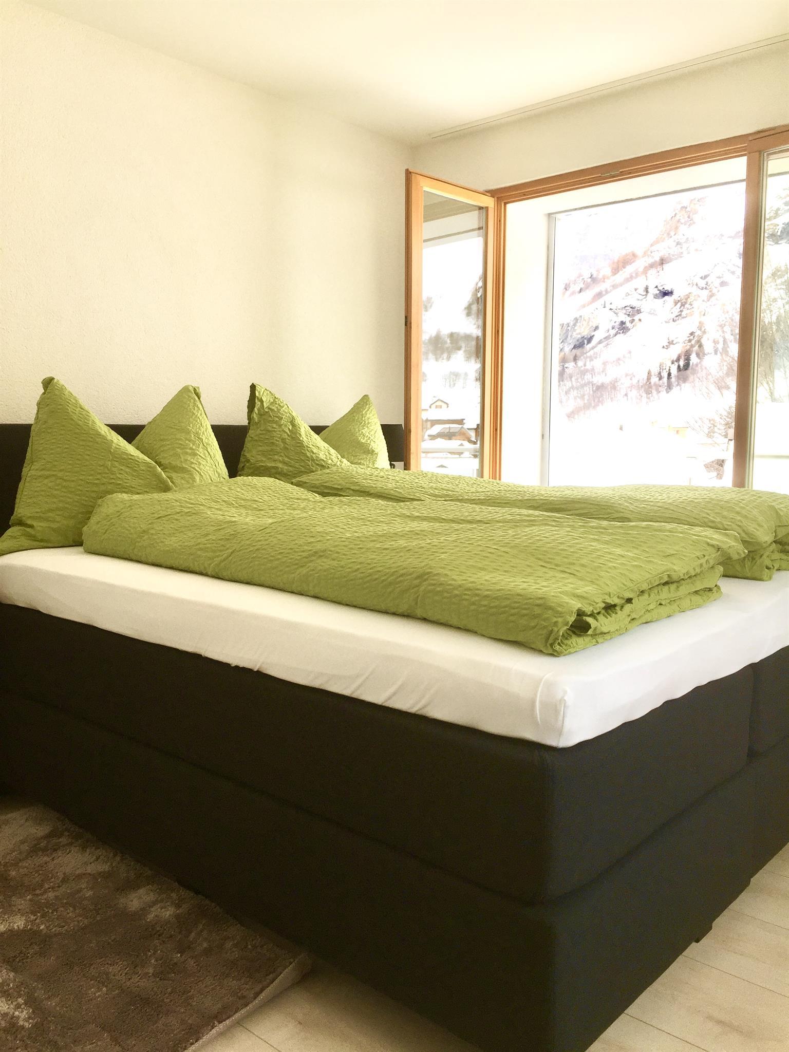 Soldanella 2_schlafen_1a Soldanella 2_schlafen_1a