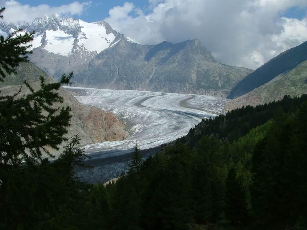 Bilder1 156 Bilder1 156