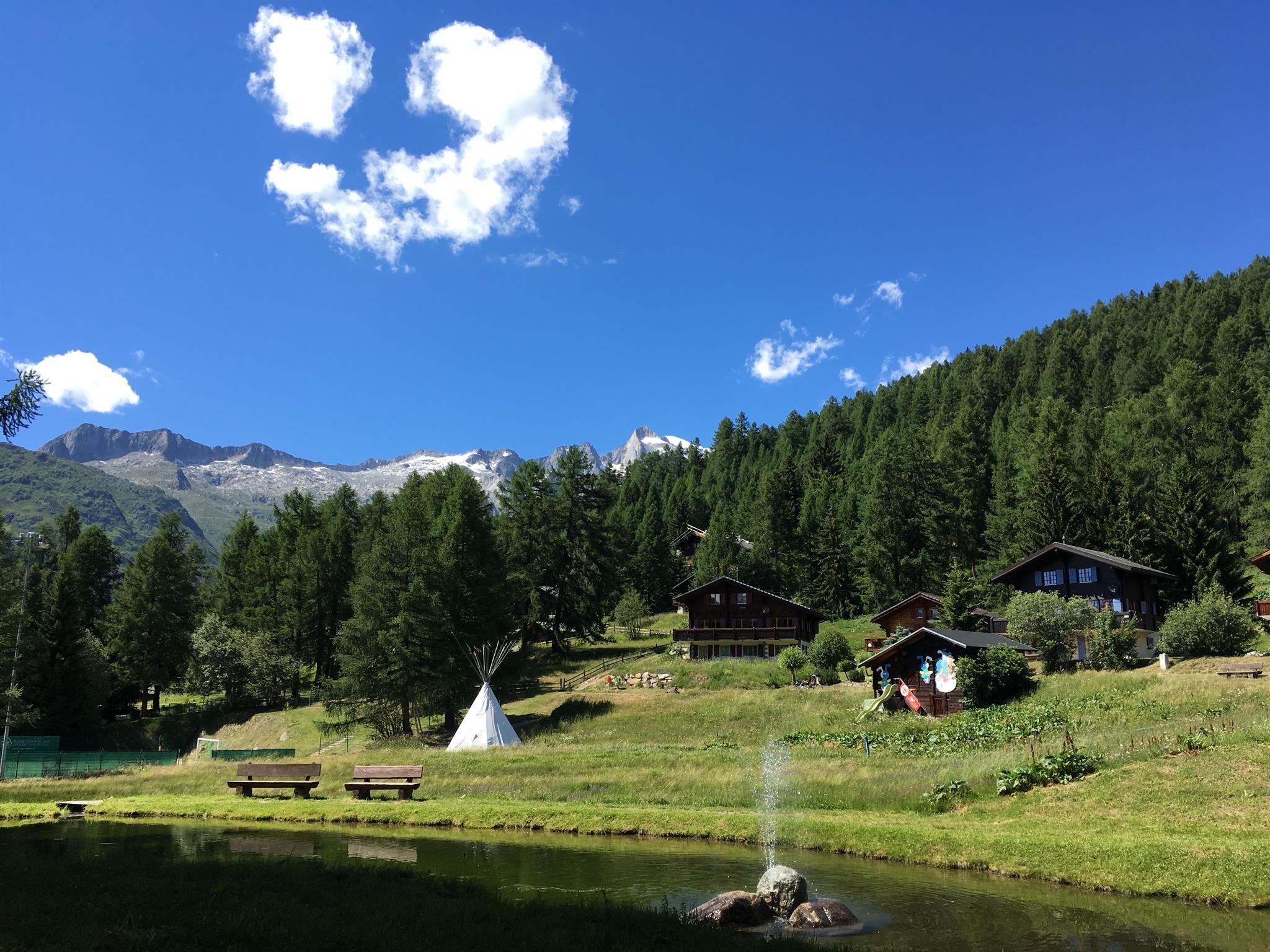 IMG_2307 (1) IMG_2307 (1)