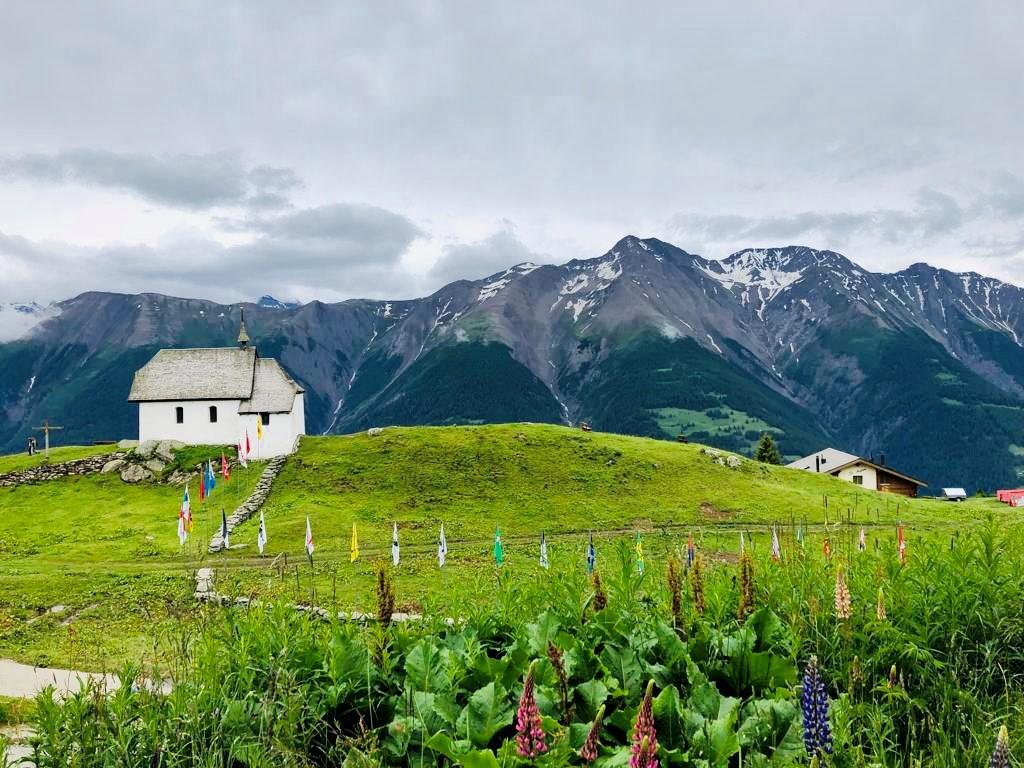 Aussicht Alchemilla Aussicht Alchemilla
