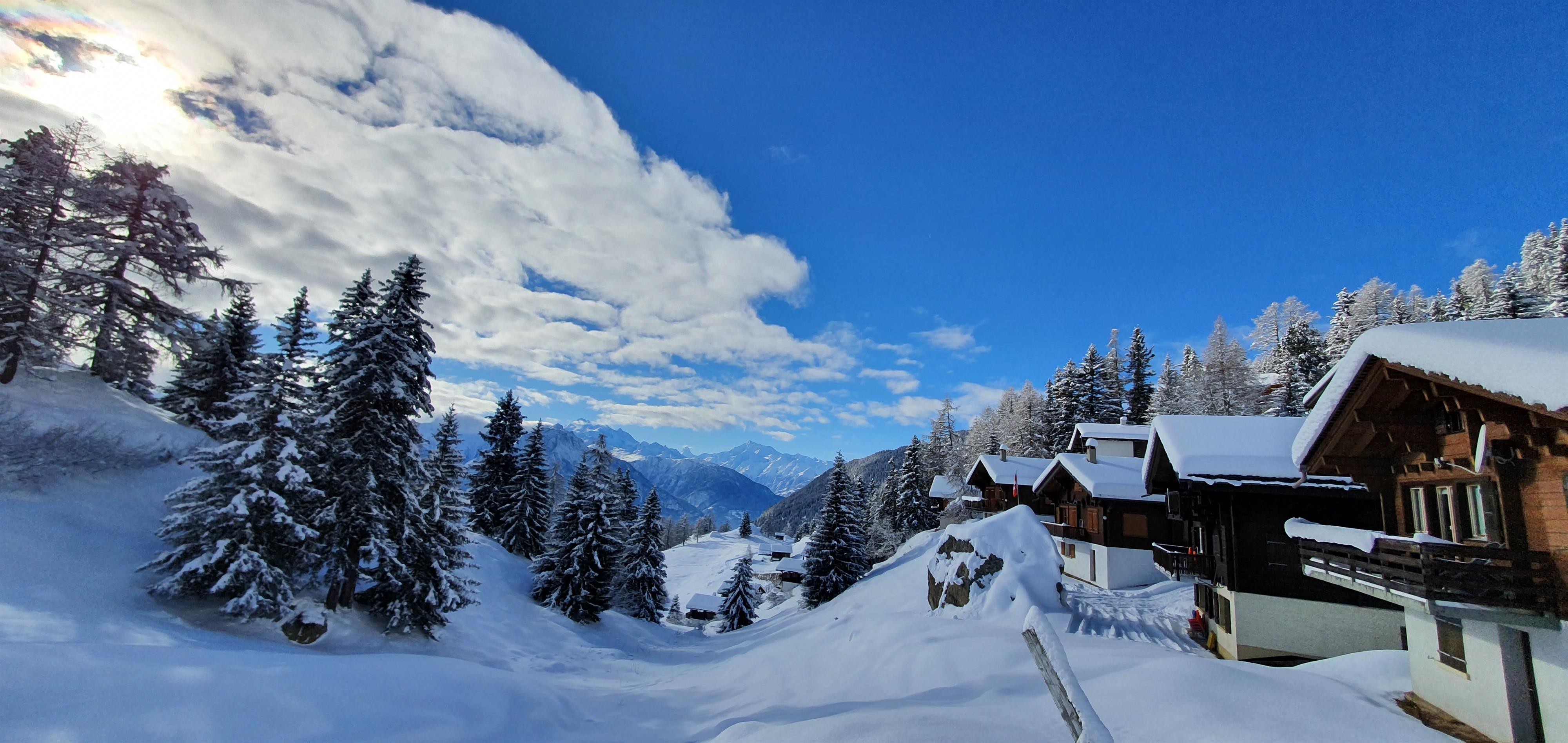 20201210_114909#1 20201210_114909#1