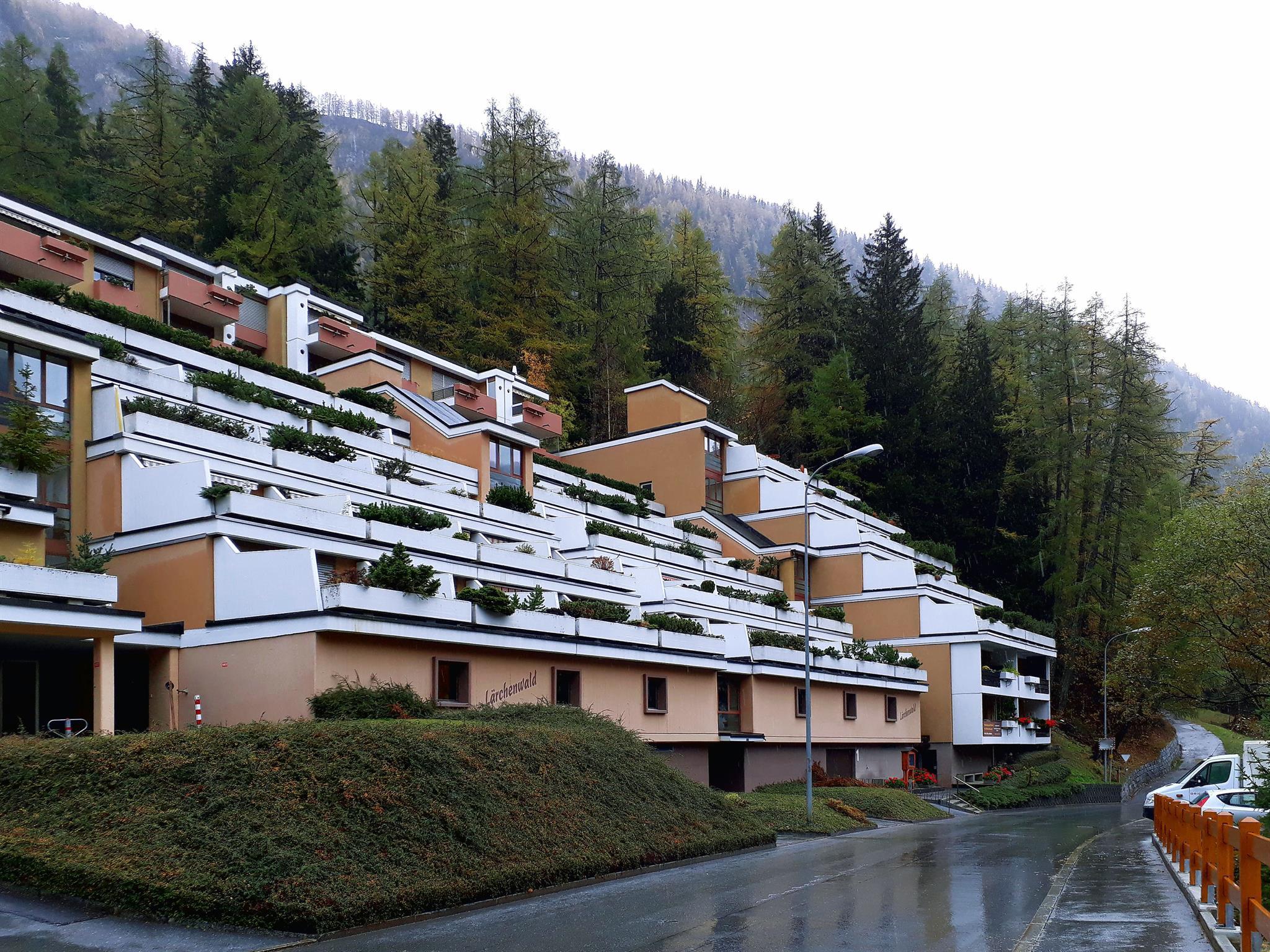 Lärchenwald 312_aussen_d Lärchenwald 312_aussen_d