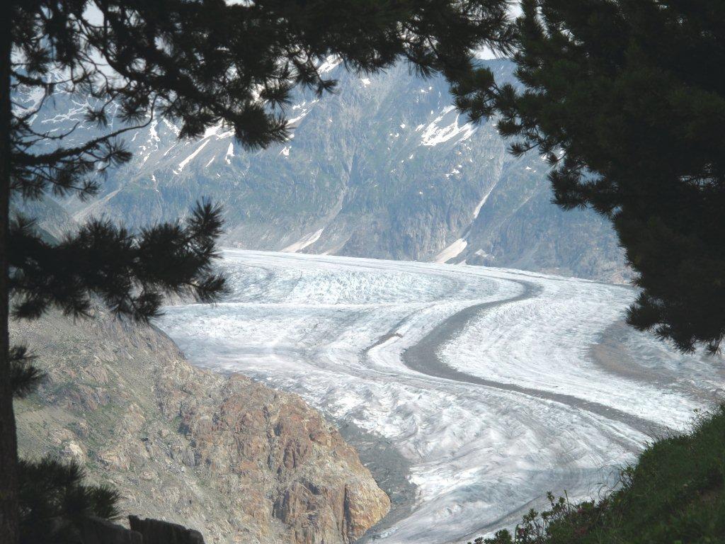 Aletsch Gletscher Aletsch Gletscher