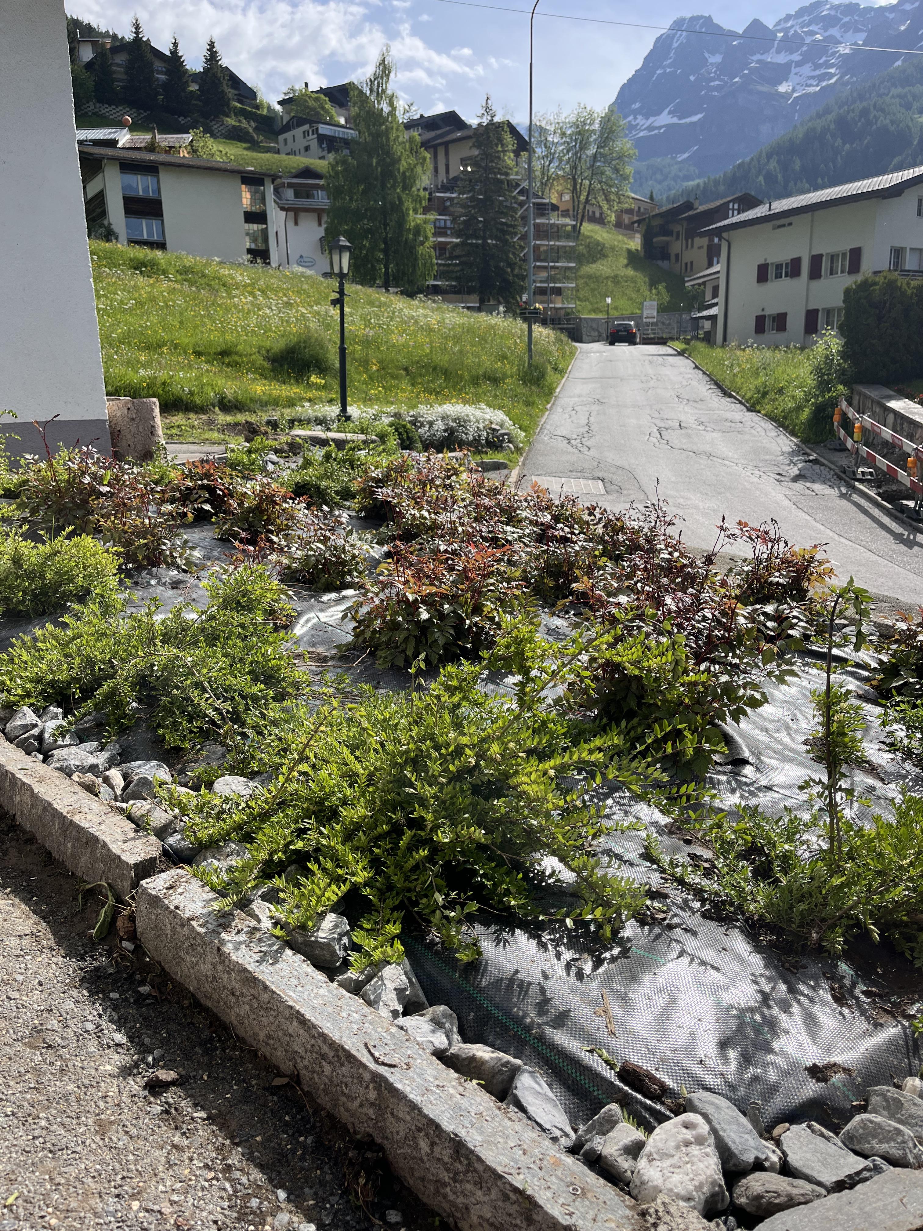 Chalet Memory_Massif devant chalet Chalet Memory_Massif devant chalet