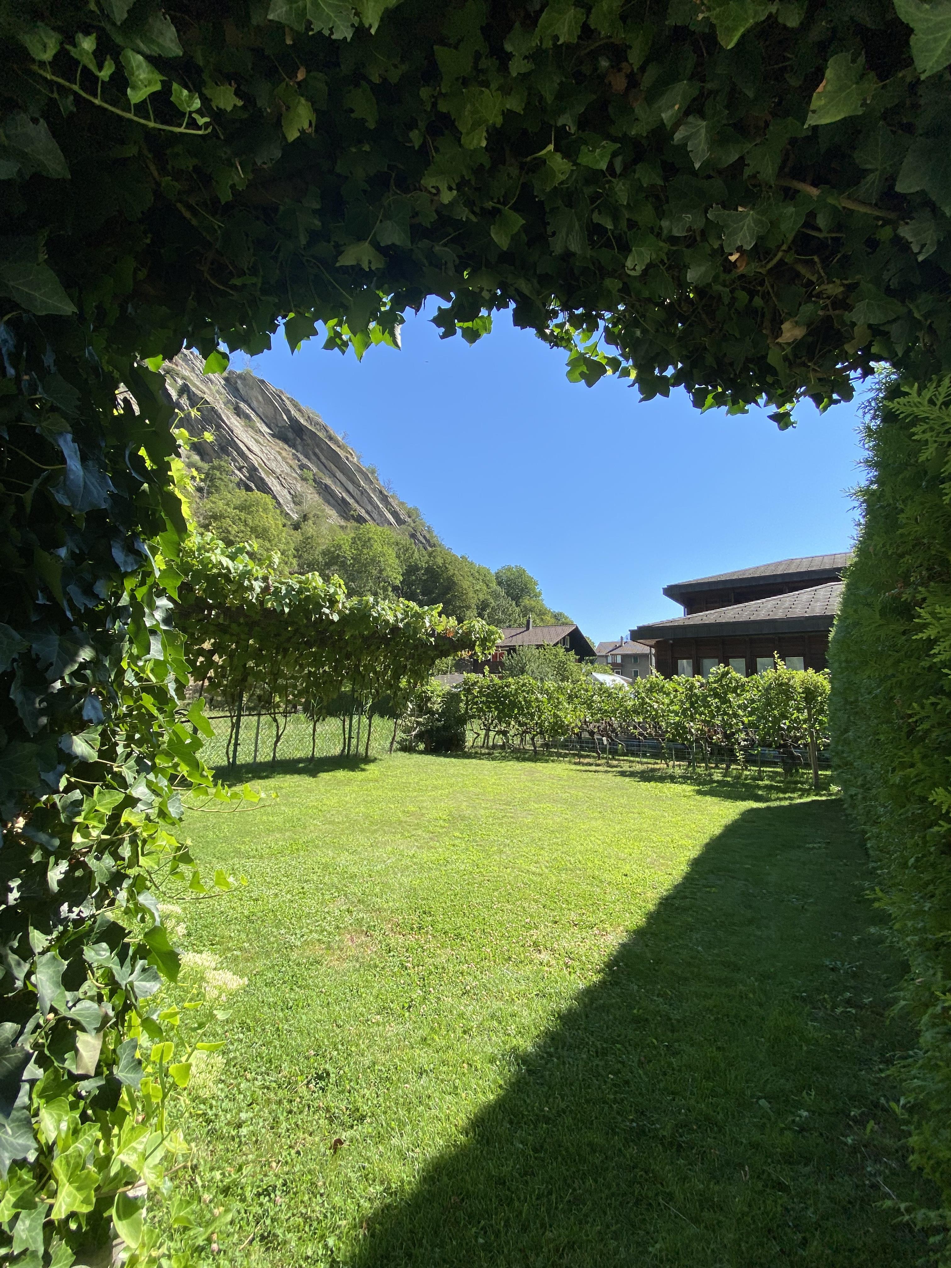 Blick in den Garten Blick in den Garten