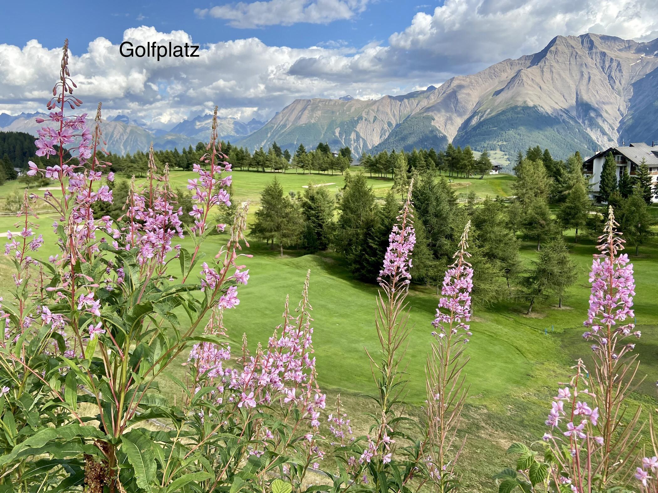 Blick über den Golfplatz Blick über den Golfplatz