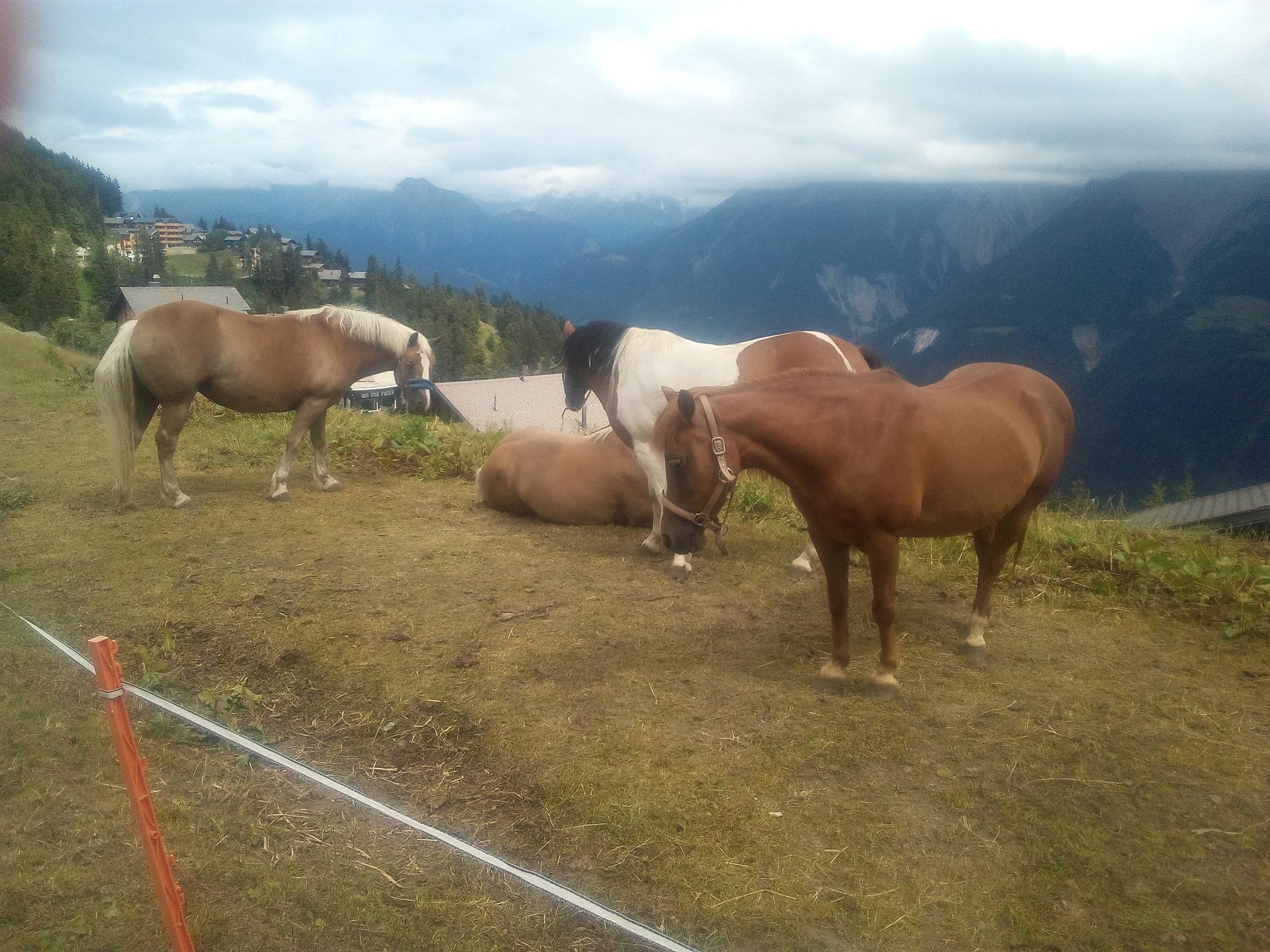 IMG_20200716_153839 IMG_20200716_153839