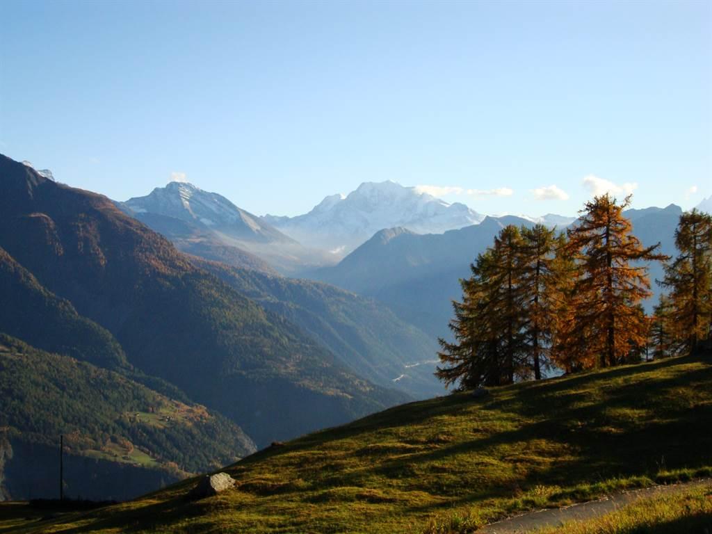 Sicht aufs Fletschhorn im Simplongebiet Sicht aufs Fletschhorn im Simplongebiet