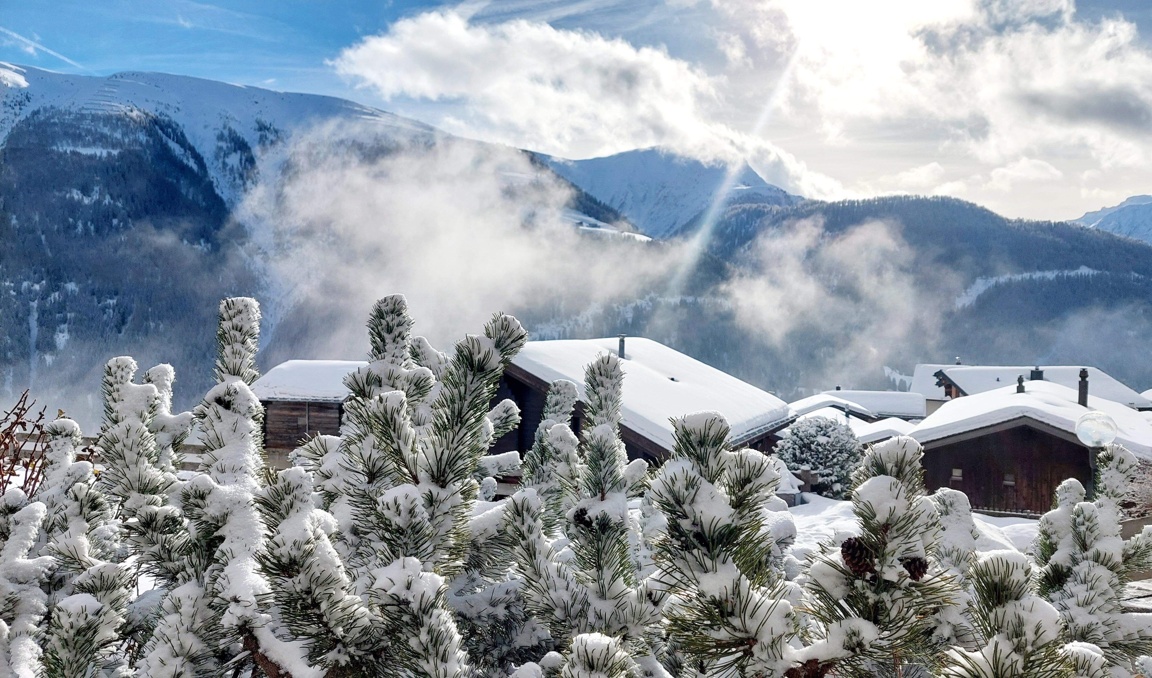 20240101_114520 20240101_114520