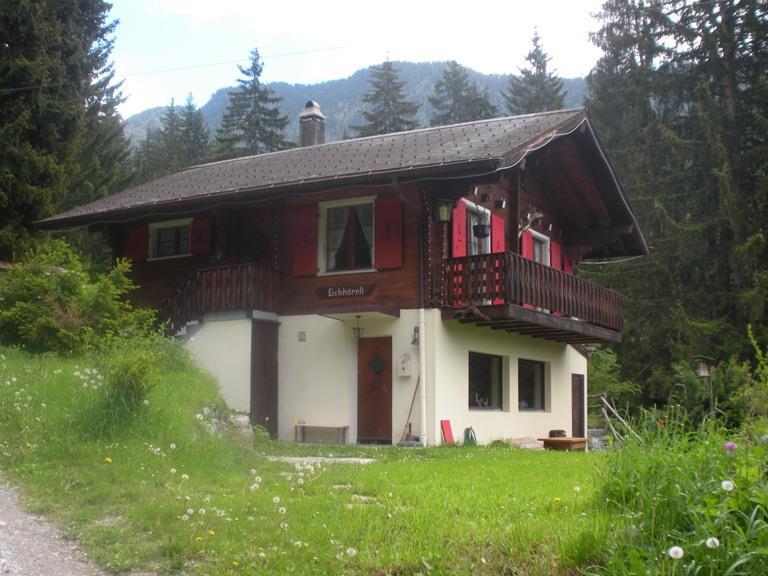 Eichhörnli Sommer Eichhörnli Sommer