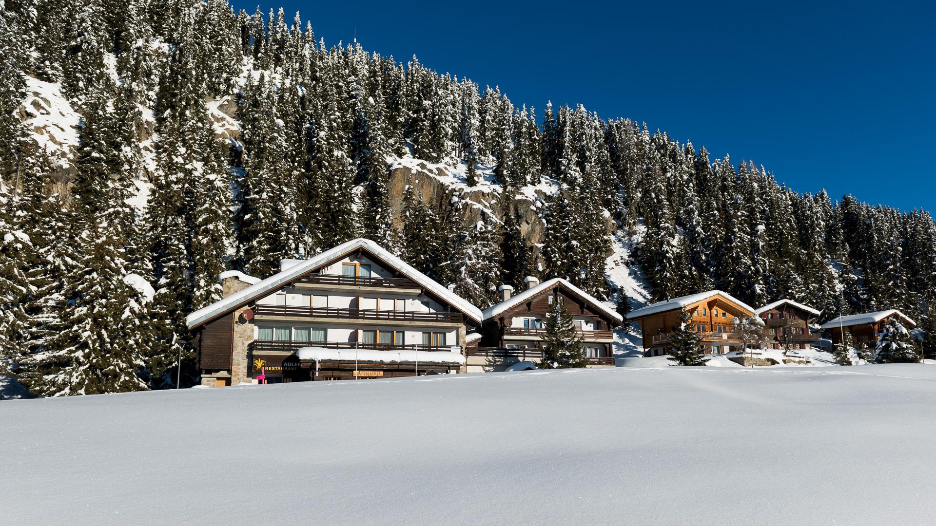 FW5_2420 - Kopie FW5_2420 - Kopie