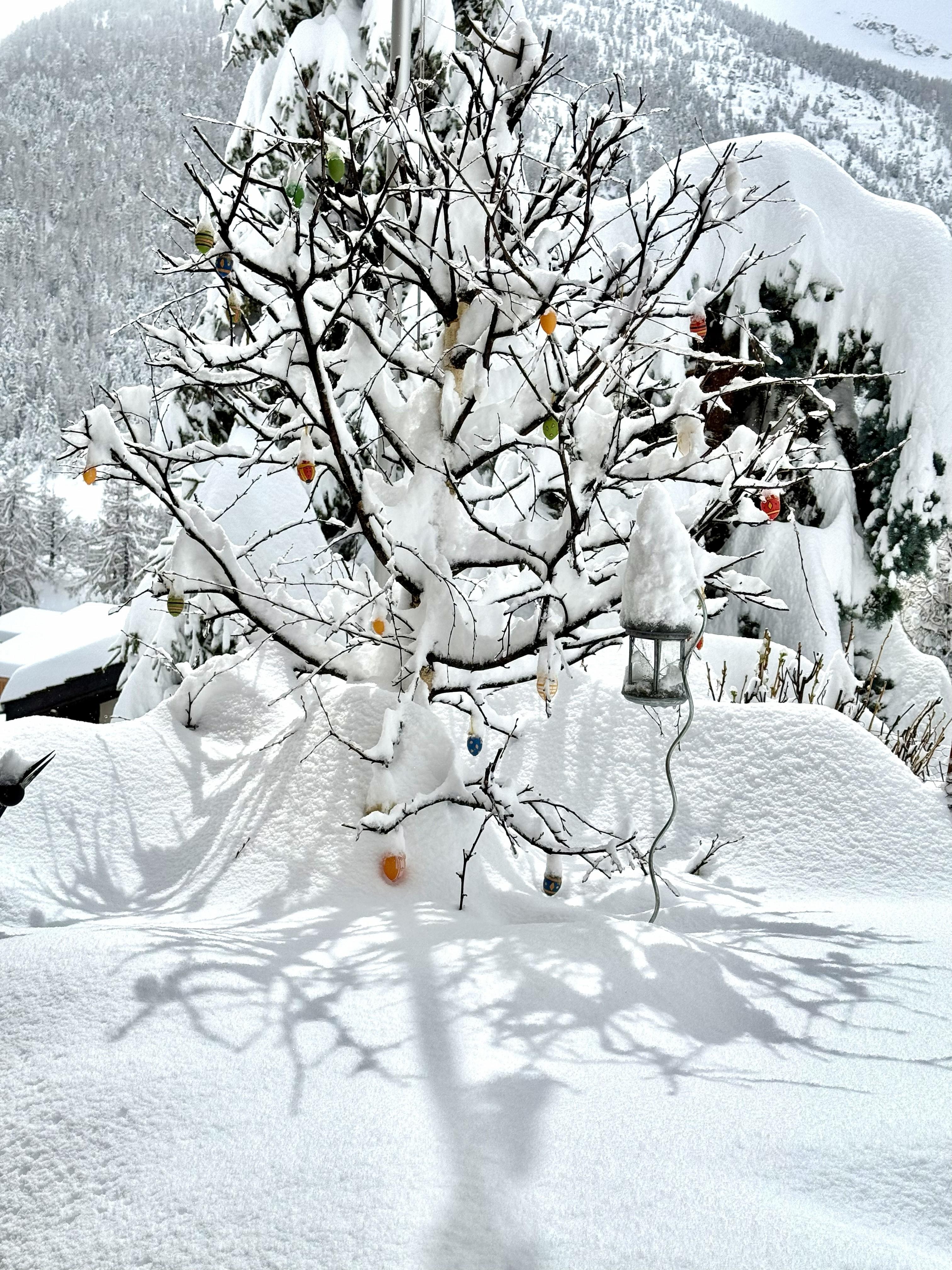 Winter 2025 Winter 2025