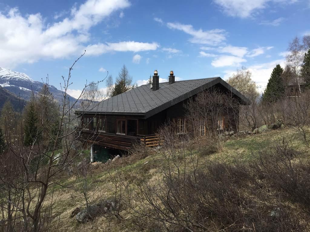 Sicht hinten linke Seite Sicht hinten linke Seite