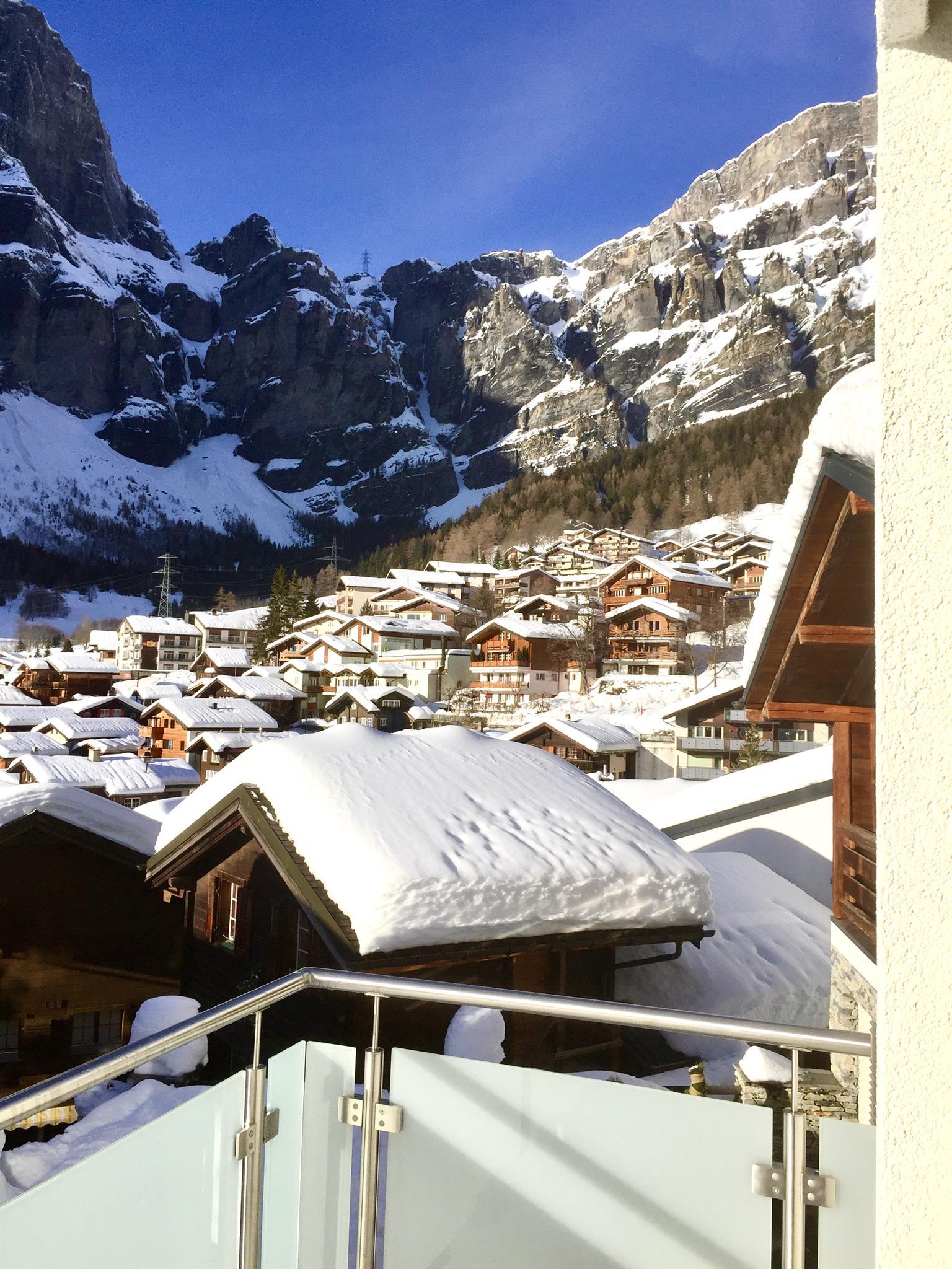 Soldanella_aussicht-winter_a Soldanella_aussicht-winter_a