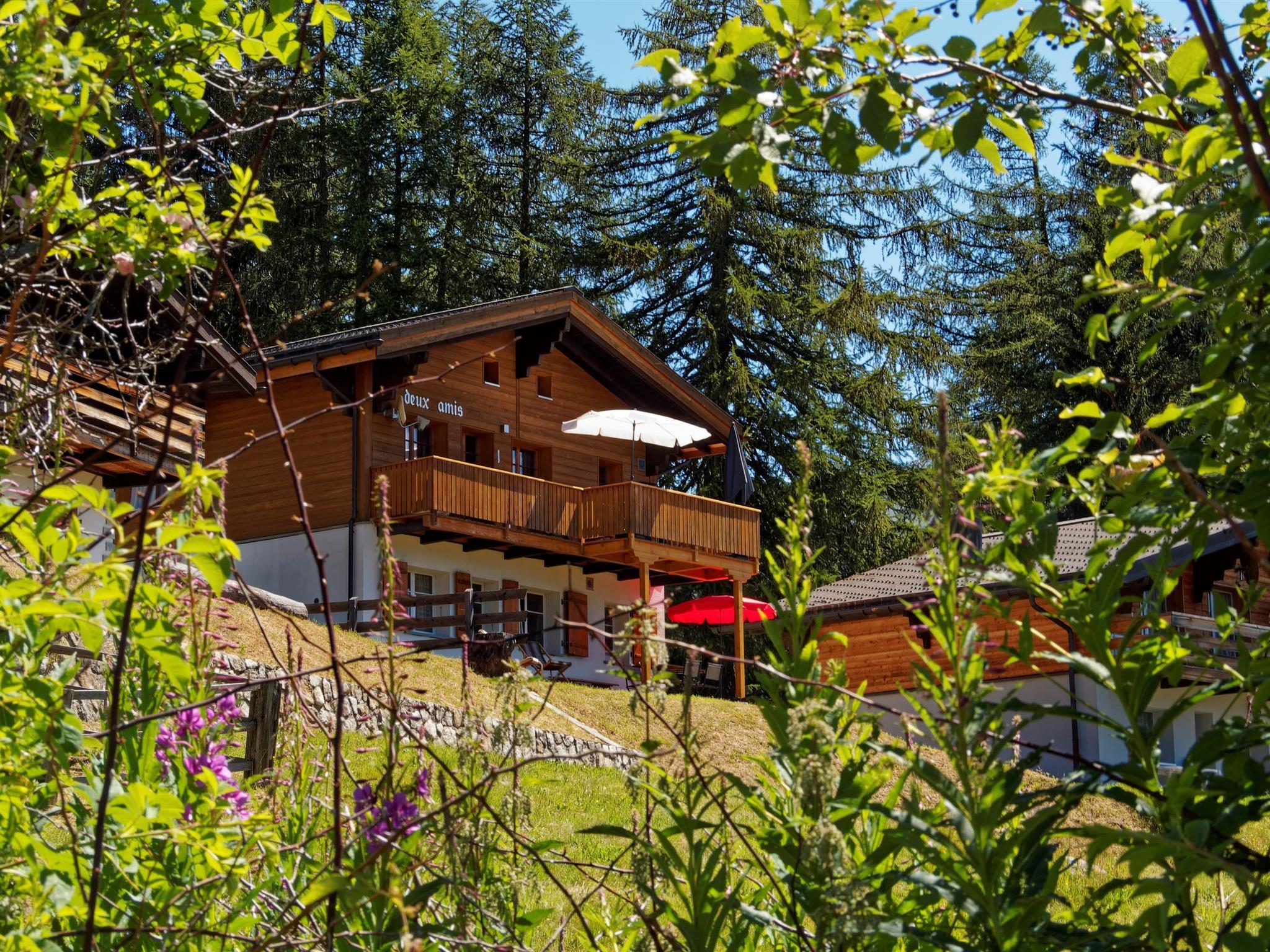 P7081044_Def P7081044_Def