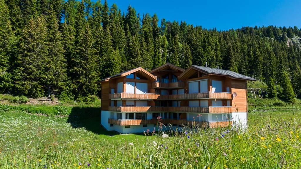 DSC_5742_fotoweb15_riederalp-fewo DSC_5742_fotoweb15_riederalp-fewo