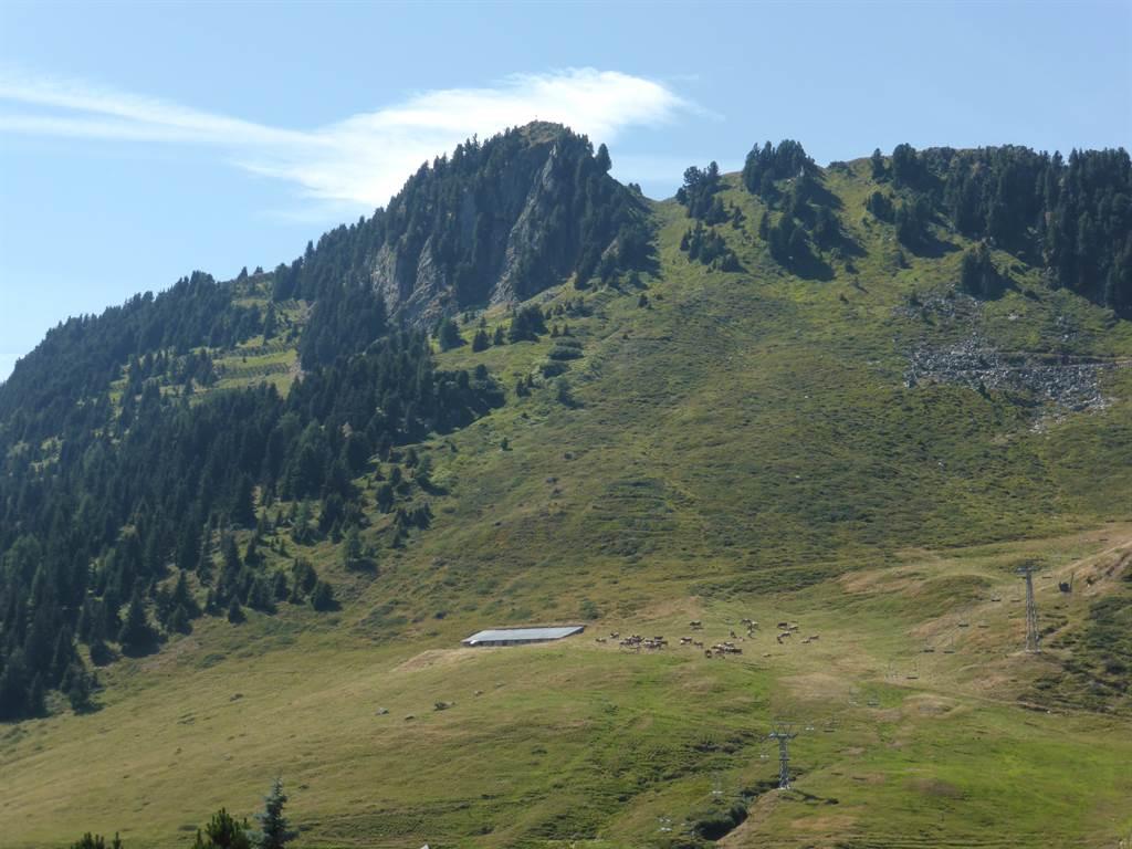 Riederhorn Riederhorn