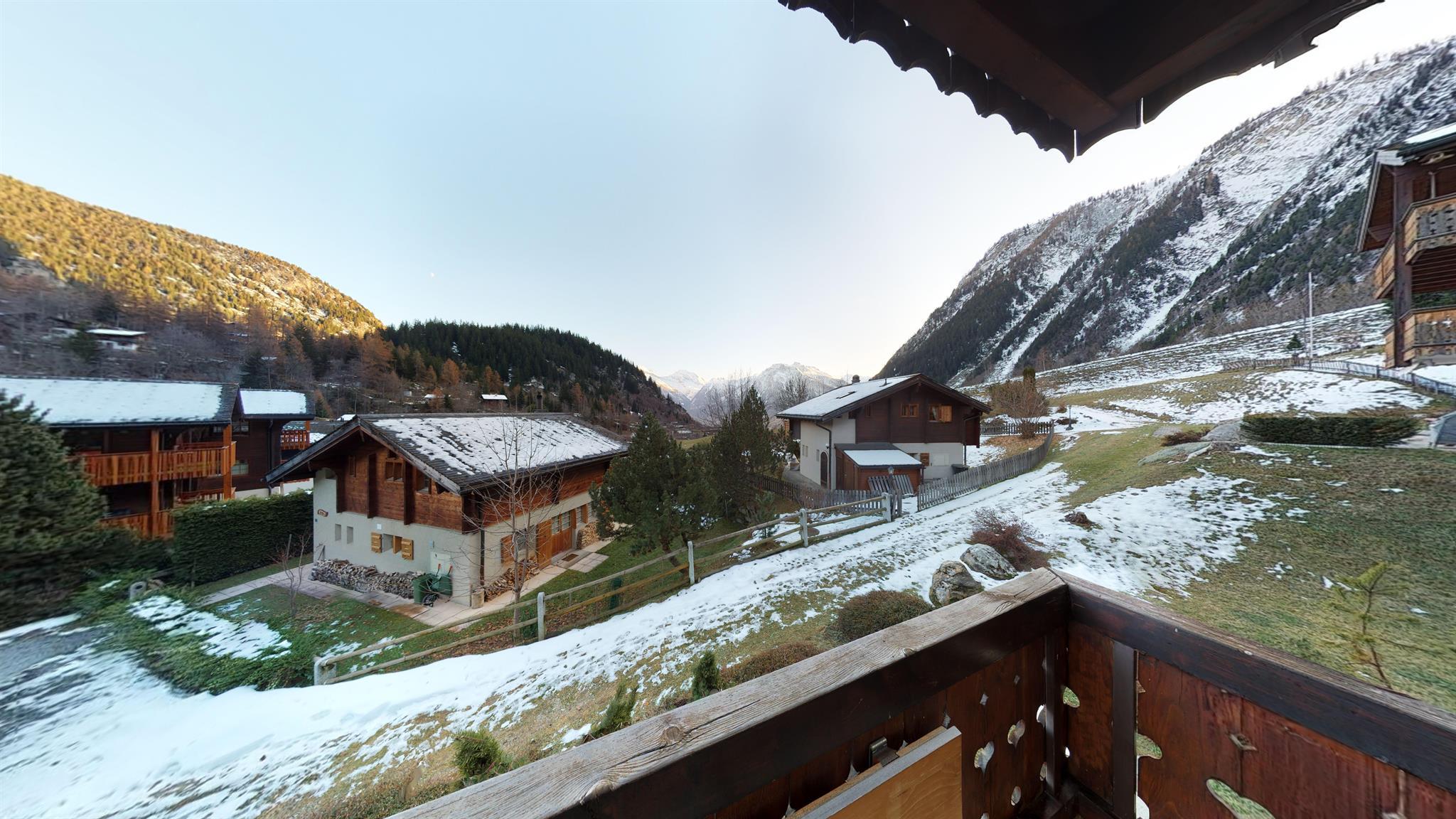 Arnika-4-AR4-12062019_105228 Arnika-4-AR4-12062019_105228