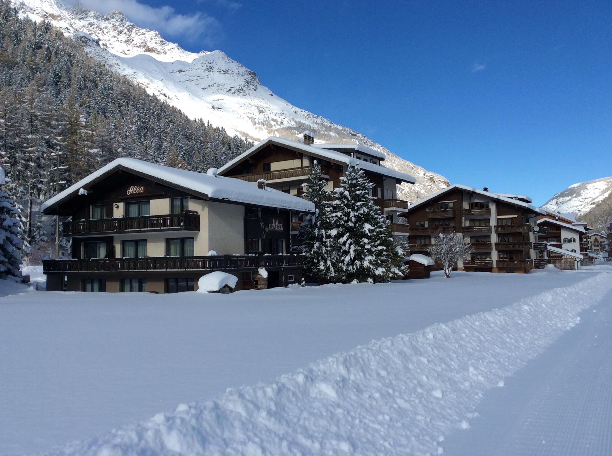 Ferienhaus Alea 4-Bettwohnung Nr. 20 Ferienwohnung in der Schweiz